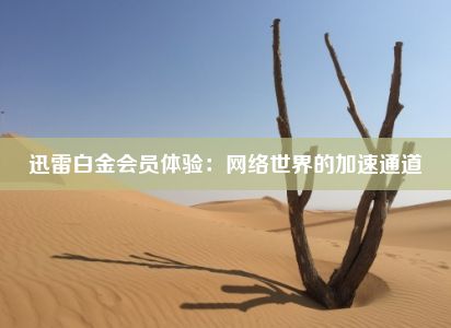 迅雷白金会员体验：网络世界的加速通道