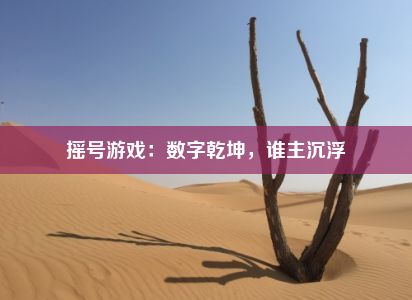 摇号游戏：数字乾坤，谁主沉浮