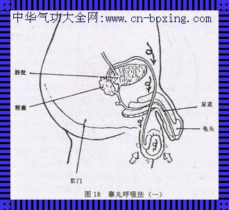 攻略大揭秘：如何交友广泛却不泄露心事