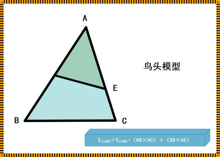 鸟头模型探秘：六大模型解析