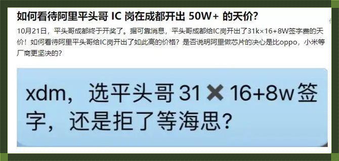 阿里平头哥2022薪资，揭秘编程界的高薪贵族