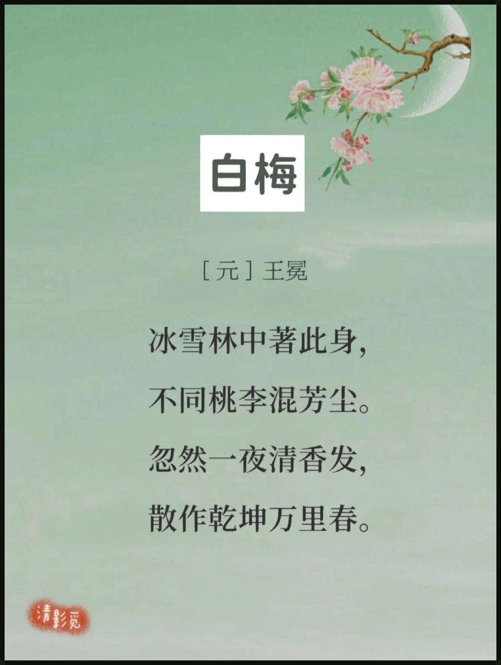 桃花洞口开，香蕊落莓苔：探寻春天的秘密花园