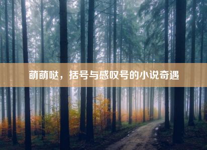 萌萌哒，括号与感叹号的小说奇遇