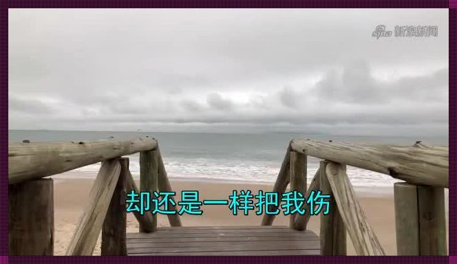 他像疯了一样占有了她：爱情风暴