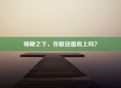 师鞭之下，你敢迎面而上吗？