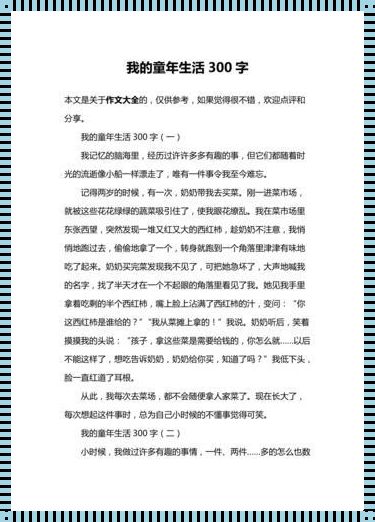 王军马婷的维修工生活300：故障与创新的交响曲