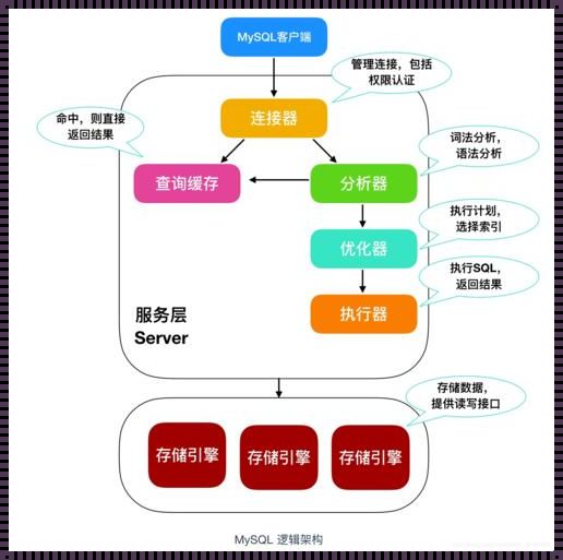 MySQL建立数据库，轻松入门