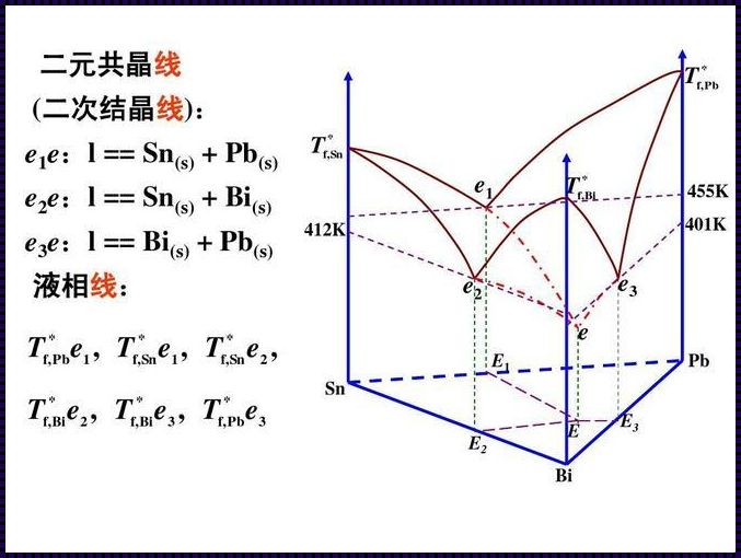 三元共晶相图立体模型：科技的魅力与调皮的演绎