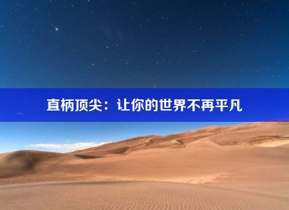 直柄顶尖：让你的世界不再平凡