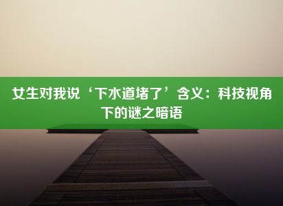 女生对我说‘下水道堵了’含义：科技视角下的谜之暗语