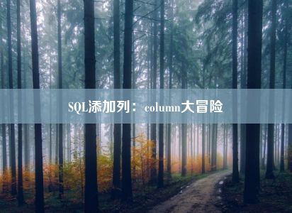 SQL添加列：column大冒险