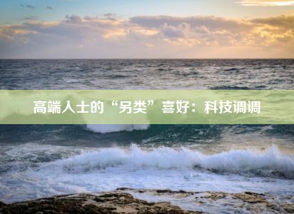 高端人士的“另类”喜好：科技调调