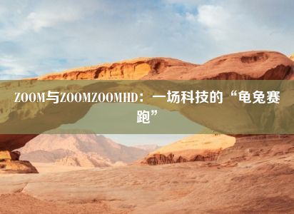 ZOOM与ZOOMZOOMHD：一场科技的“龟兔赛跑”