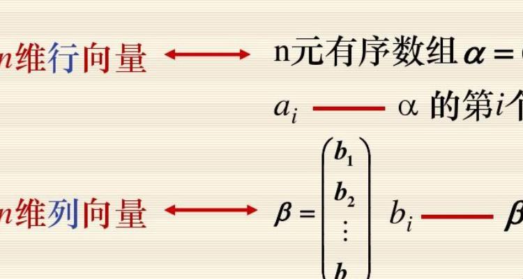 构造n维向量法：探索科技新境界