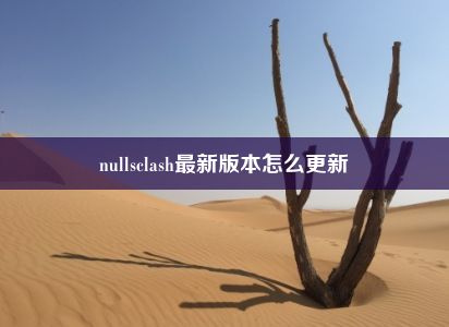 nullsclash最新版本怎么更新