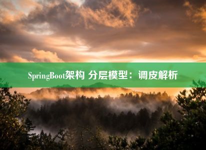 SpringBoot架构 分层模型：调皮解析