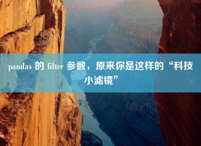 pandas 的 filter 参数，原来你是这样的“科技小滤镜”