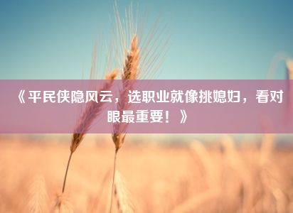 《平民侠隐风云，选职业就像挑媳妇，看对眼最重要！》