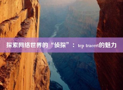 探索网络世界的“侦探”：tcp tracert的魅力