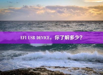 EFI USB DEVICE，你了解多少？