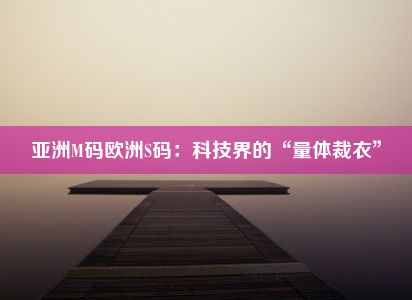 亚洲M码欧洲S码：科技界的“量体裁衣”