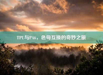 TPU与PA6，色母互换的奇妙之旅