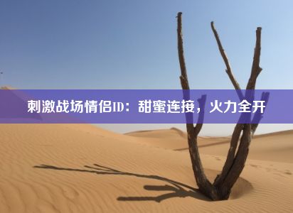 刺激战场情侣ID：甜蜜连接，火力全开