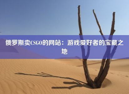 俄罗斯卖CSGO的网站：游戏爱好者的宝藏之地