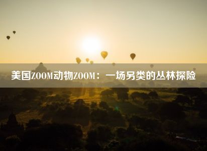 美国ZOOM动物ZOOM：一场另类的丛林探险