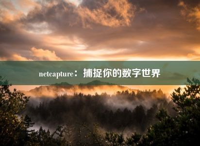 netcapture：捕捉你的数字世界