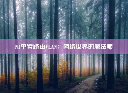 N1单臂路由VLAN：网络世界的魔法师