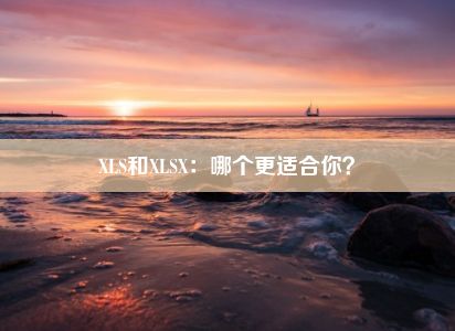 XLS和XLSX：哪个更适合你？