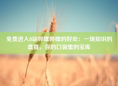 免费进入B站哔哩哔哩的好处：一场知识的盛宴，你的口袋里的宝库