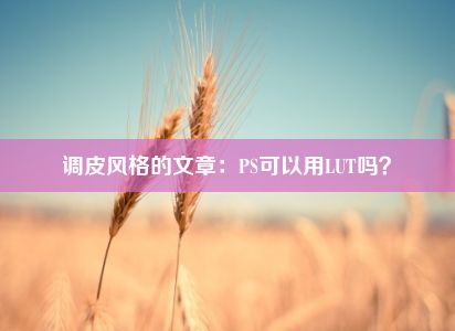 调皮风格的文章：PS可以用LUT吗？