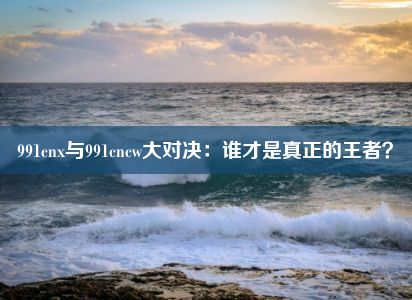 991cnx与991cncw大对决：谁才是真正的王者？