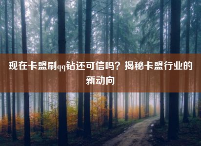 现在卡盟刷qq钻还可信吗？揭秘卡盟行业的新动向